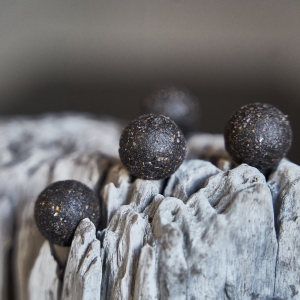 Futterboilie Monster-Crab