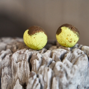 Wafter`s 25mm Fisch 80gr.