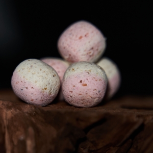 Wafter 20mm weiß/Pink