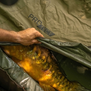 Avid Carp Pro Tect Deluxe Cradle