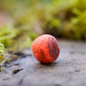 Carp Corner Wafters 25mm Tuna